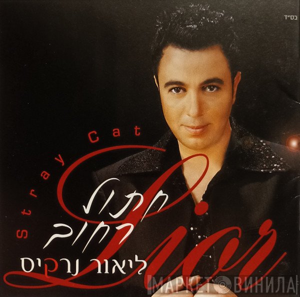 ליאור נרקיס  - חתול רחוב