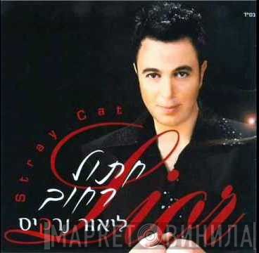 ליאור נרקיס  - חתול רחוב