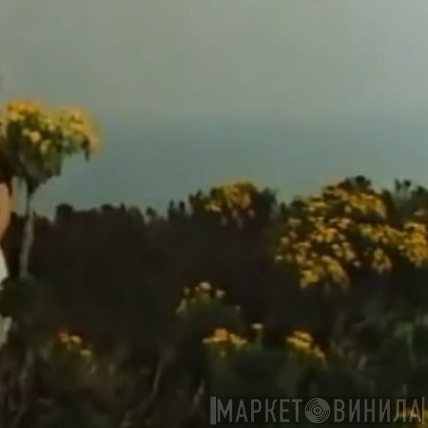 花畑  - 収集