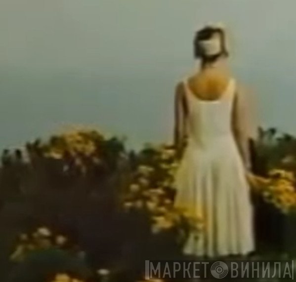 花畑  - 花畑
