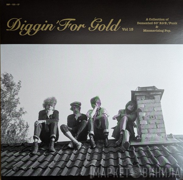  - Diggin' For Gold Vol 15 (A Collection Of Demented 60' R&B/Punk & Mesmerizing Pop.)