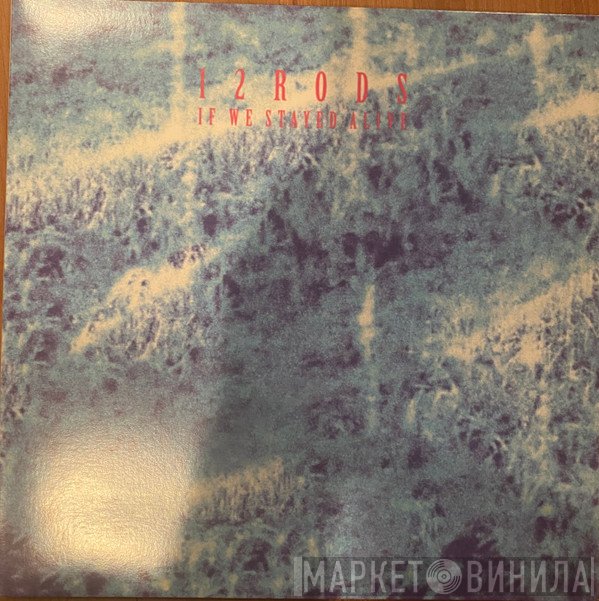 12 Rods - If We Stayed Alive