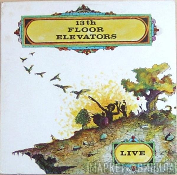 13th Floor Elevators  - Live