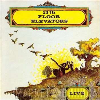 13th Floor Elevators  - Live