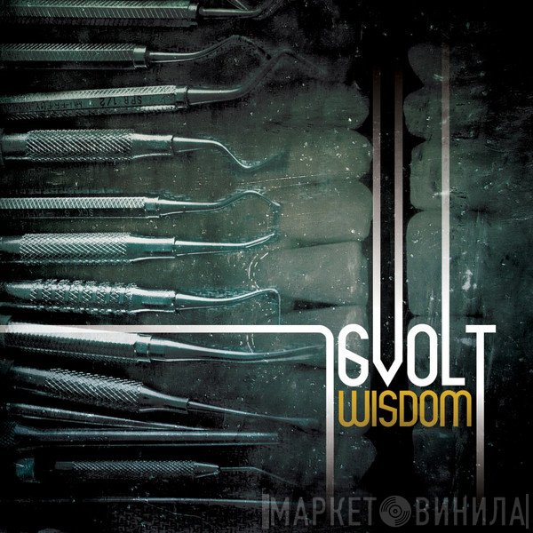 16 Volt  - Wisdom