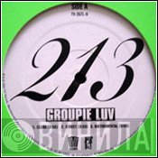 213  - Groupie Luv