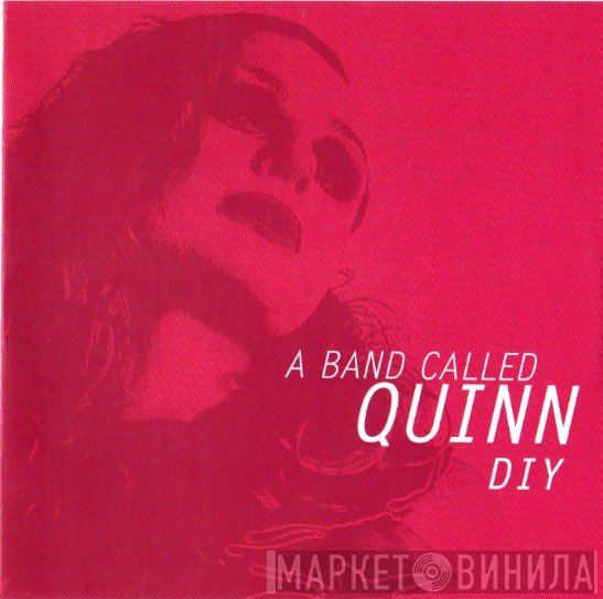 A Band Called Quinn - DIY