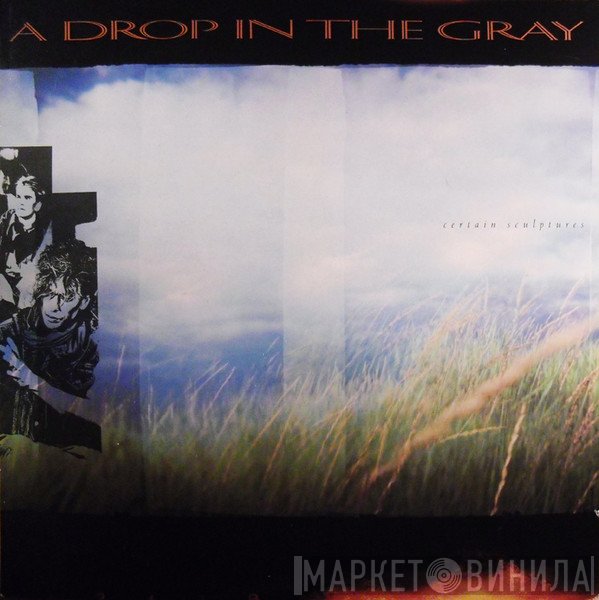 A Drop In The Gray - Certain Sculptures