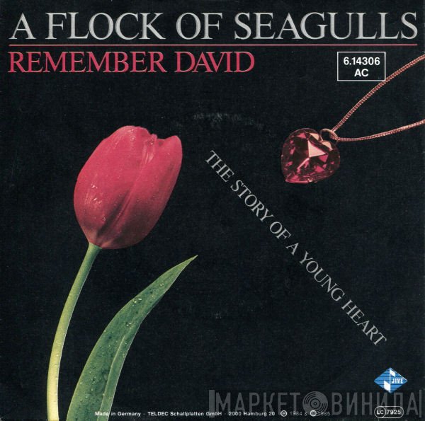 A Flock Of Seagulls  - Remember David