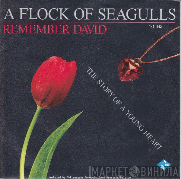 A Flock Of Seagulls - Remember David