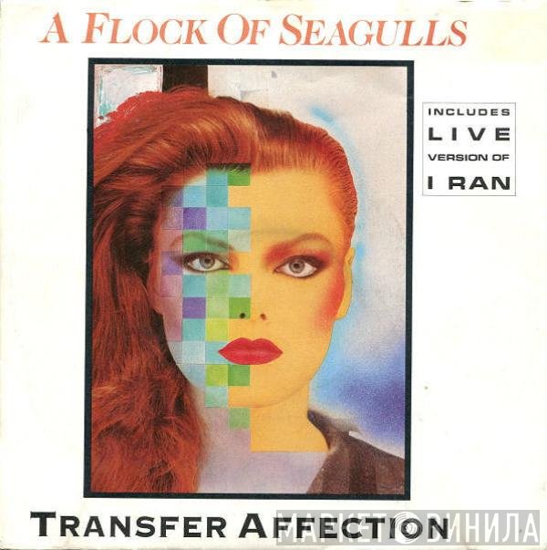 A Flock Of Seagulls  - Transfer Affection