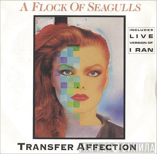 A Flock Of Seagulls  - Transfer Affection