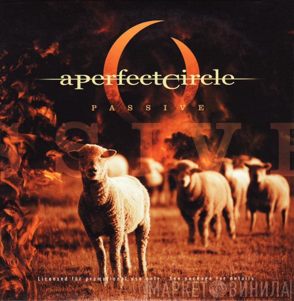 A Perfect Circle  - Passive