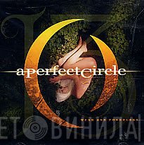 A Perfect Circle  - Weak And Powerless