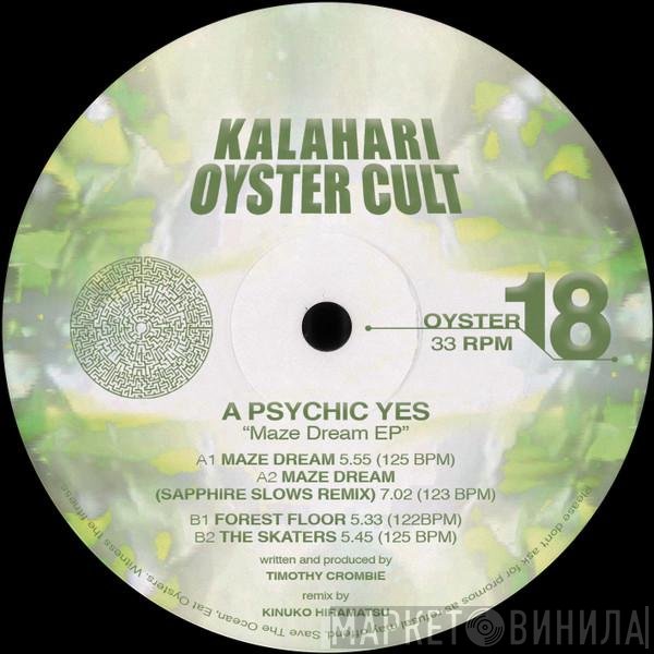 A Psychic Yes - Maze Dream EP