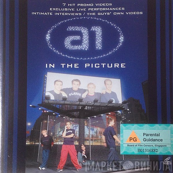 A1  - In The Picture