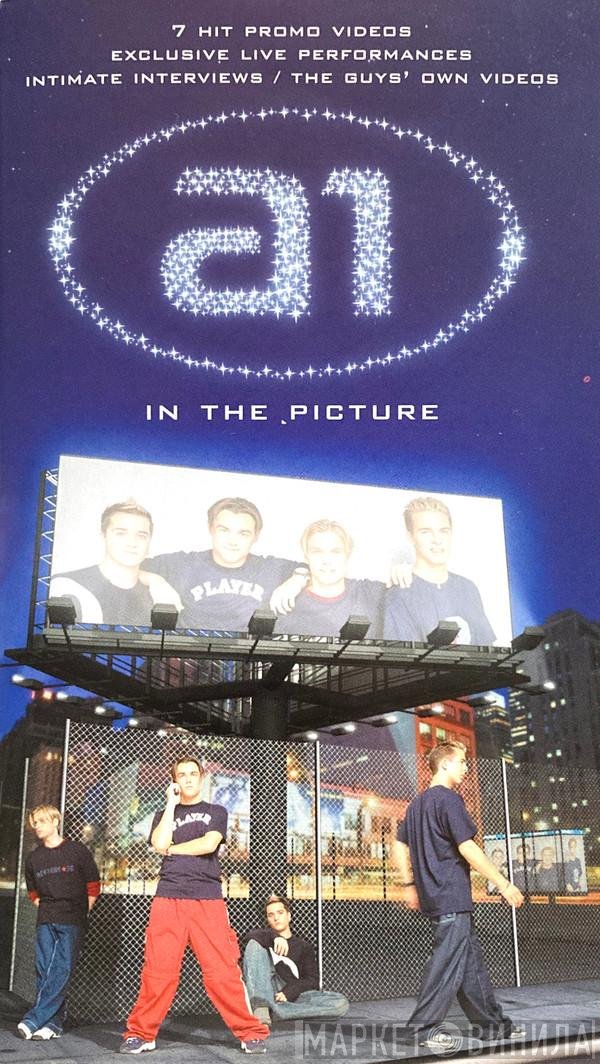 A1  - In The Picture