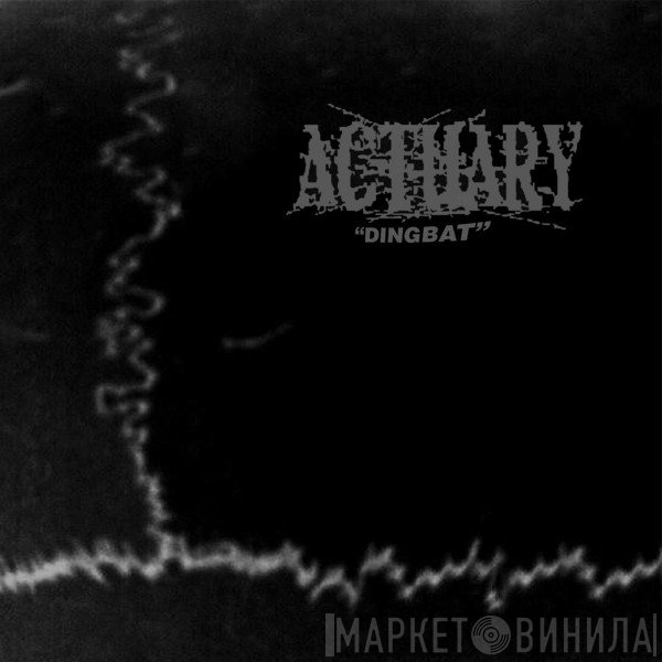 ACTUARY  - Dingbat