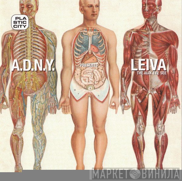 ADNY, Leiva - The Way Eye See