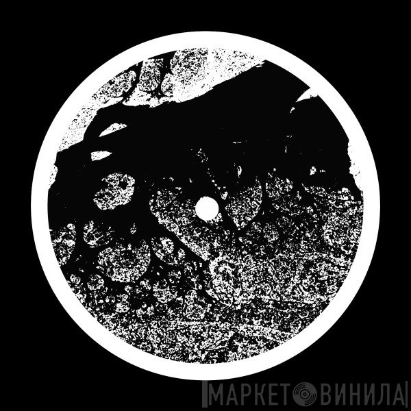 ASC  - Eccentric Orbits