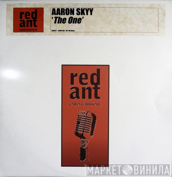 Aaron Skyy - The One
