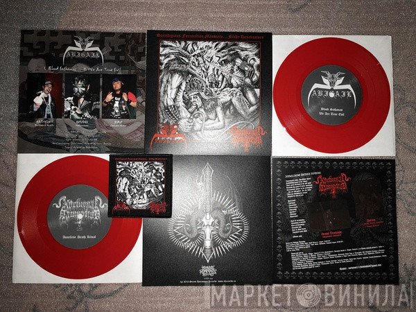 Abigail  / Nocturnal Damnation  - Split