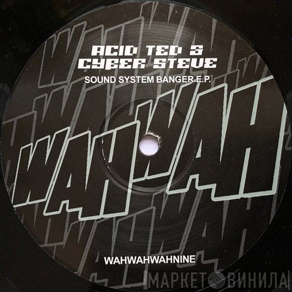 Acid Ted & Cyber Steve  - Sound System Banger E.P.