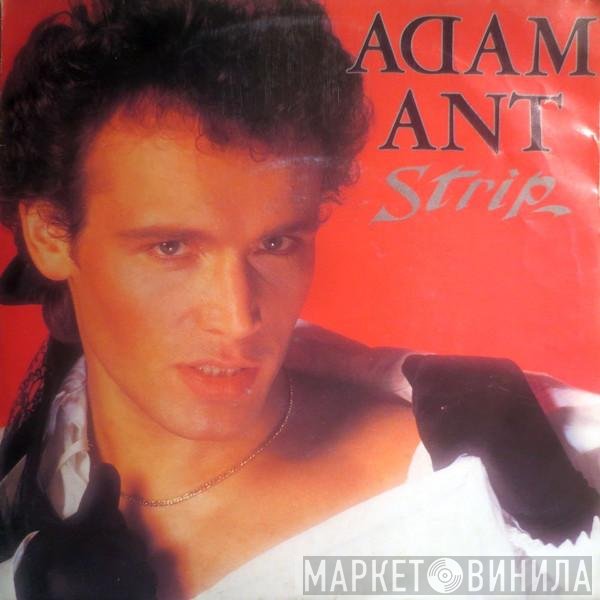 Adam Ant  - Strip
