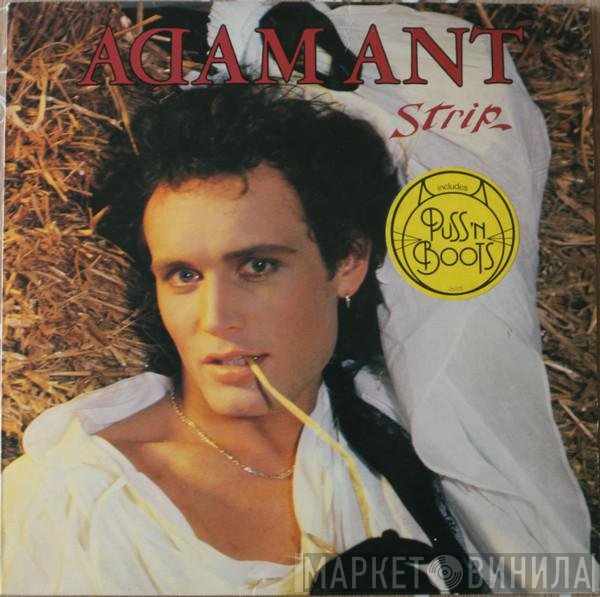 Adam Ant  - Strip
