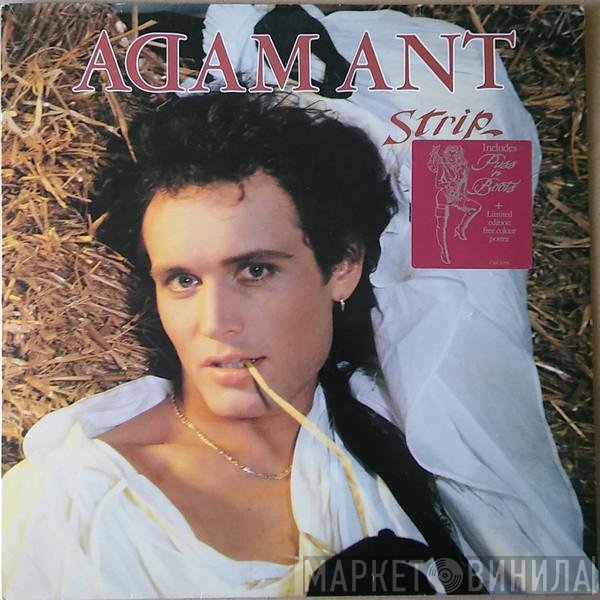 Adam Ant  - Strip