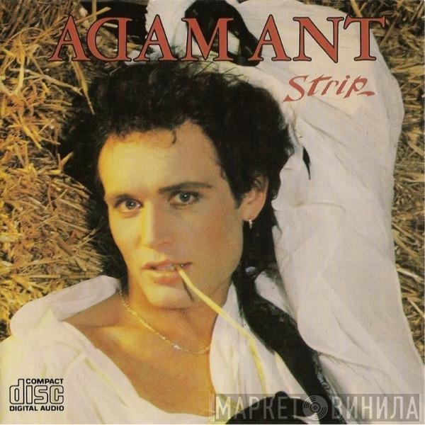 Adam Ant  - Strip