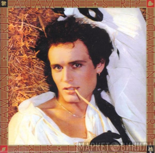 Adam Ant  - Strip