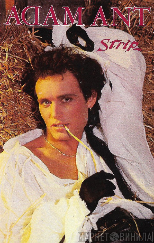 Adam Ant - Strip