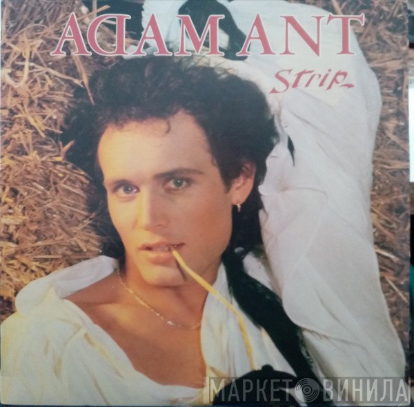 Adam Ant  - Strip