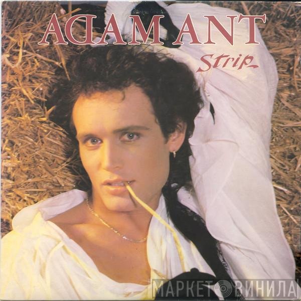 Adam Ant  - Strip