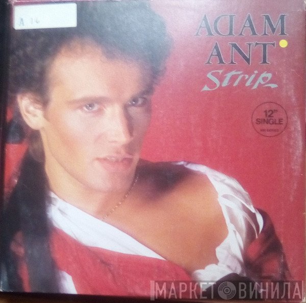 Adam Ant  - Strip