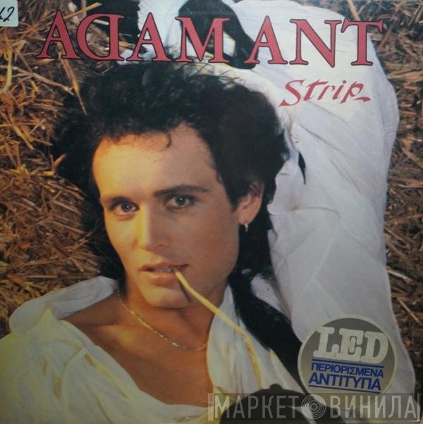 Adam Ant  - Strip