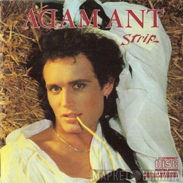 Adam Ant  - Strip