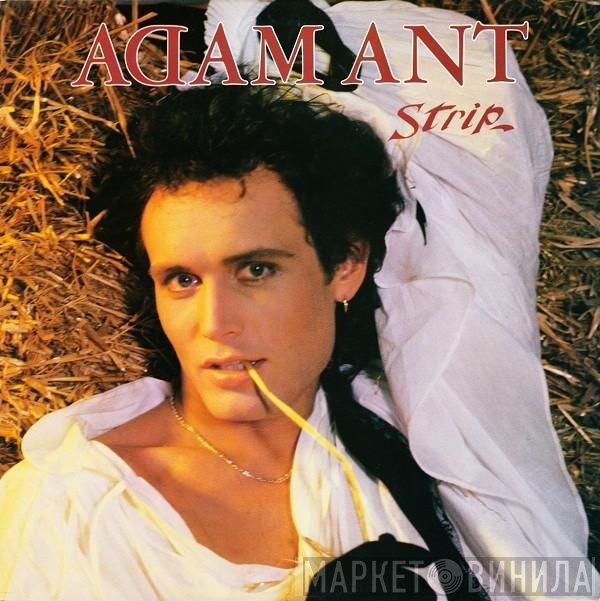 Adam Ant  - Strip