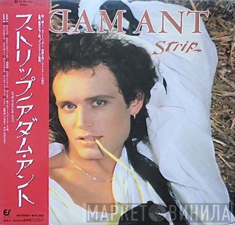 Adam Ant  - Strip