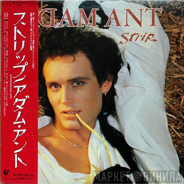 Adam Ant  - Strip