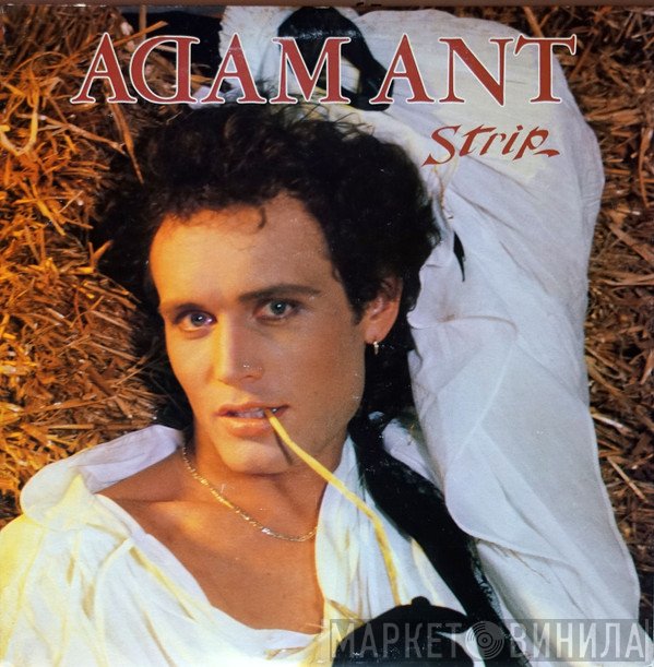 Adam Ant  - Strip