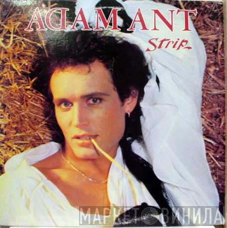 Adam Ant  - Strip