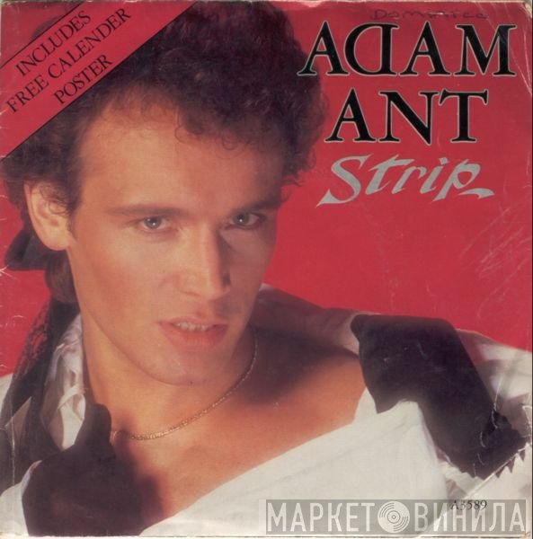Adam Ant  - Strip