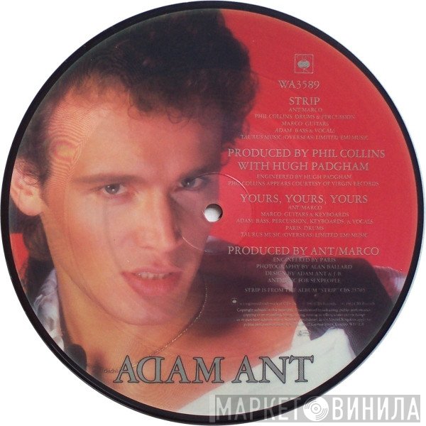 Adam Ant - Strip