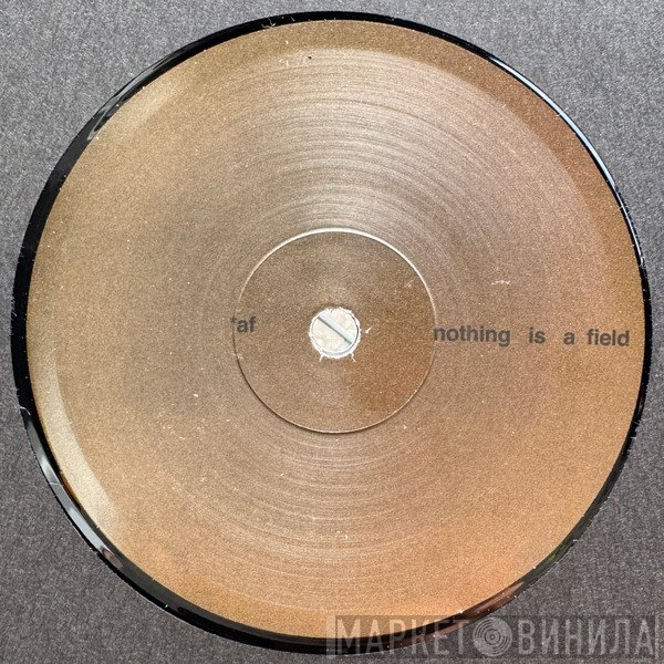 Adam Feingold - Nothing Is A Field