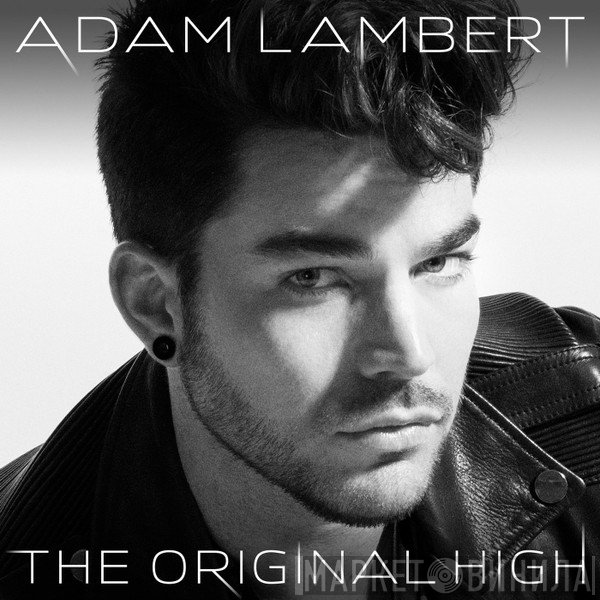 Adam Lambert  - Evil In The Night