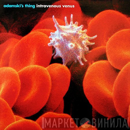 Adamski's Thing - Intravenous Venus