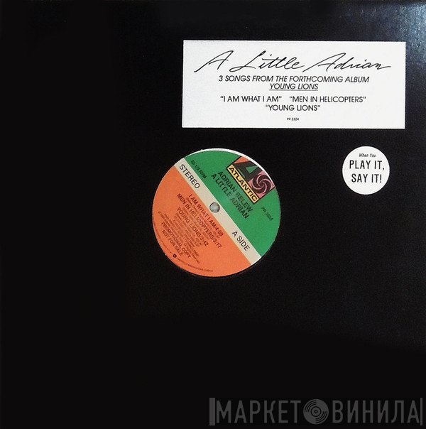 Adrian Belew  - A Little Adrian