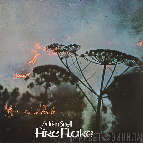 Adrian Snell - FireFlake
